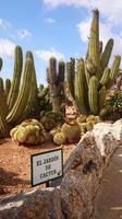 Botanicactus, Mallorca