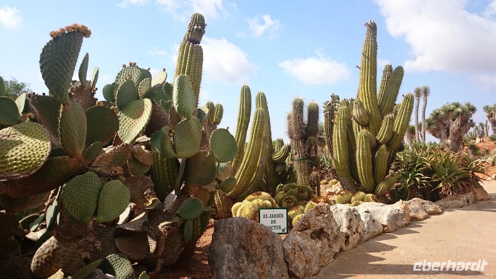 Botanicactus, Mallorca