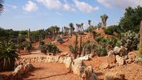 Botanicactus, Mallorca