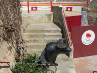 Alcudia Stierkampfarena