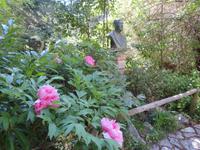 Botanische Garten Kloster Lluc