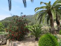 Arabische Gärten von Alfabia