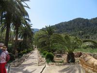 Arabische Gärten von Alfabia