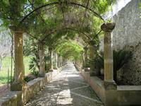 Arabische Gärten von Alfabia