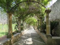 Arabische Gärten von Alfabia