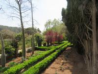 Arabische Gärten von Alfabia