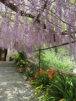 Arabische Gärten von Alfabia