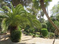 Arabische Gärten von Alfabia