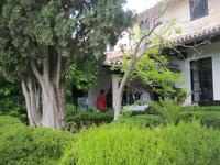 IMG_7476 Klostergarten