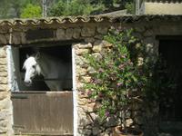 IMG_7596 Pferdestall