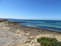 Platja de Mallorca (6)