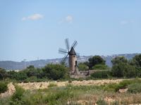 Platja de Mallorca (8)