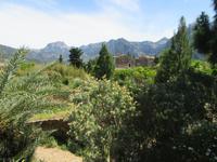 Soller (9)