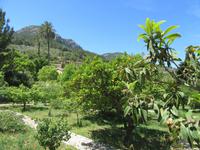 Soller (10)