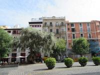 Palma de Mallorca (16)