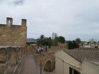 Alcudia (11)