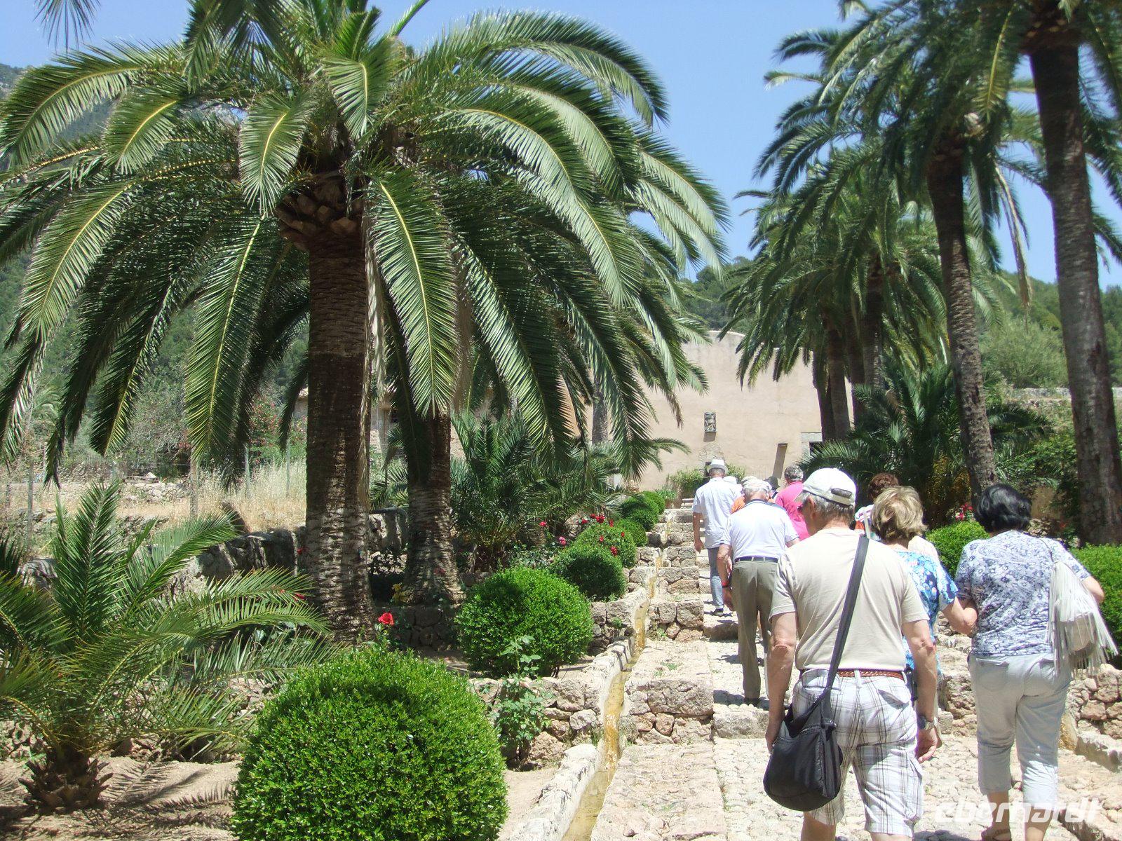 In den Gärten von Alfabia