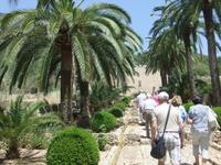 In den Gärten von Alfabia