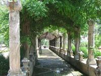 In den Gärten von Alfabia