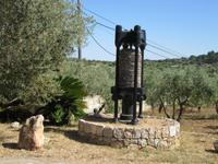 Sa Fatona de Caimari (7)