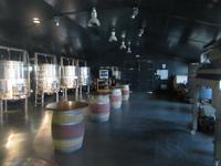 Hort Sant Patrici (8)