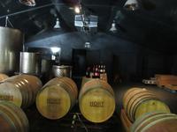 Hort Sant Patrici (9)