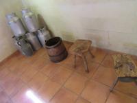 Hort Sant Patrici (15)