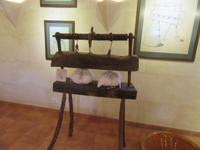 Hort Sant Patrici (16)