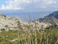 Mirador Nus de Sa Corbata