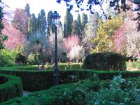 Valldemosa - Kartäuserkloster