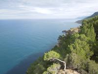 157 Torre des Verger