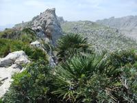 An der Steilküste von Formentor