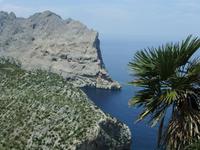 An der Steilküste von Formentor