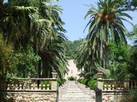 Die Gärten von Alfabia