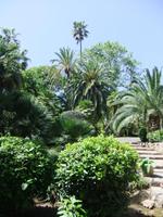 In den Gärten von Alfabia