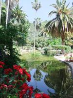 In den Gärten von Alfabia