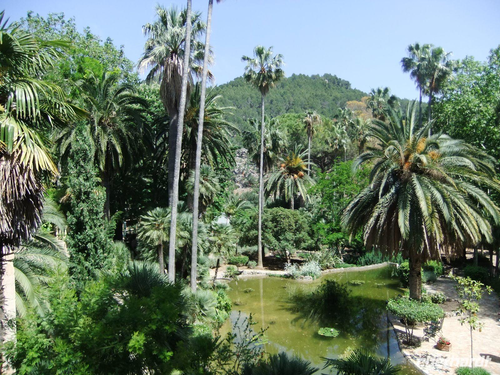 In den Gärten von Alfabia