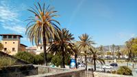 Hafenpromenade in Palma