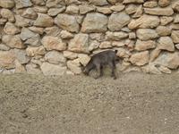 166 La Granja