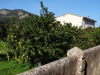 auf der Fahrt nach Port de Soller