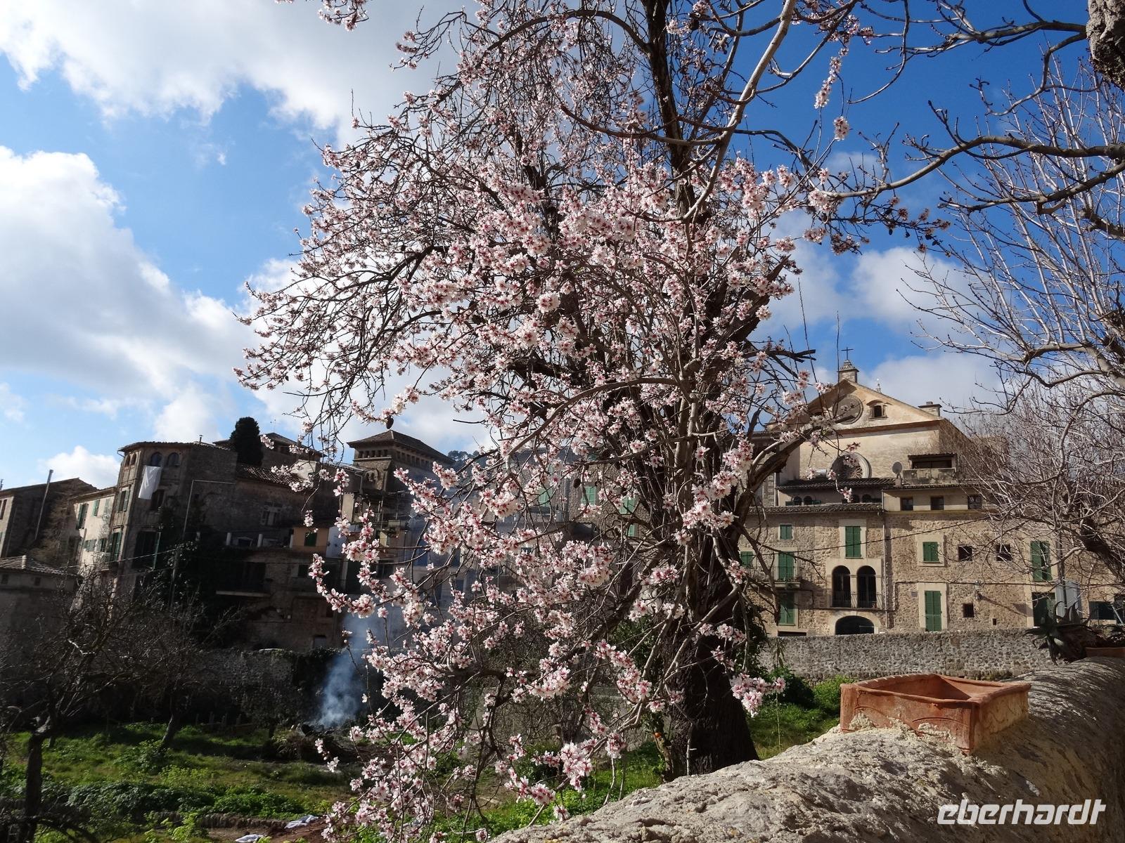 Valldemossa - Bummel durch den Ort