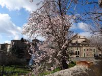 Valldemossa - Bummel durch den Ort