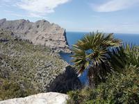 Am Kap Formentor