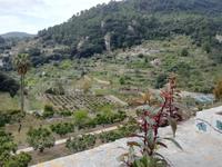 Blick von der Terrasse