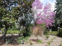 Im Park des Klosters