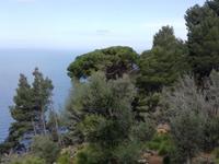 Fahrt entlang der Steilküste