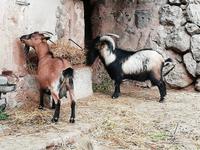 Im Erlebnisgut La Granja