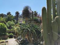 Botanische Garten in Sóller 