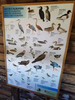 Naturschutzgebiet von S‘Albufera 