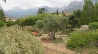 Botanischer Garten von Soller